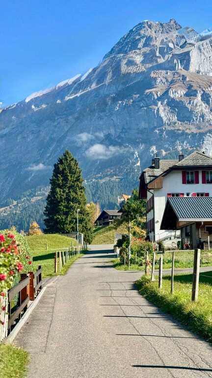 How to Plan a Simple Picnic at a Local Park